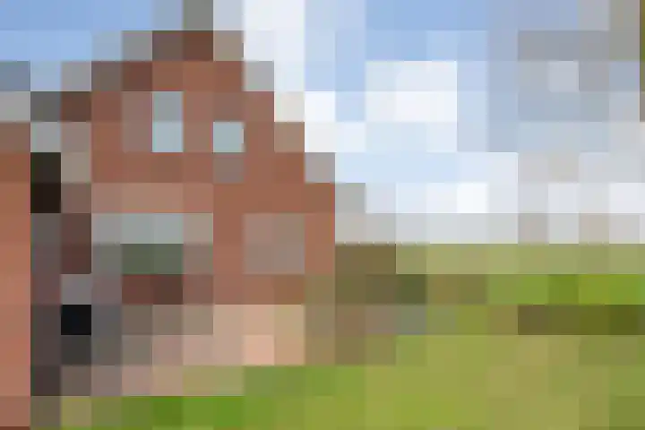 BH Spijkerweg 3 Punthorst thumbnail 40