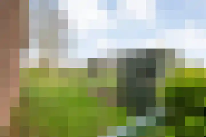 BH Spijkerweg 3 Punthorst thumbnail 42