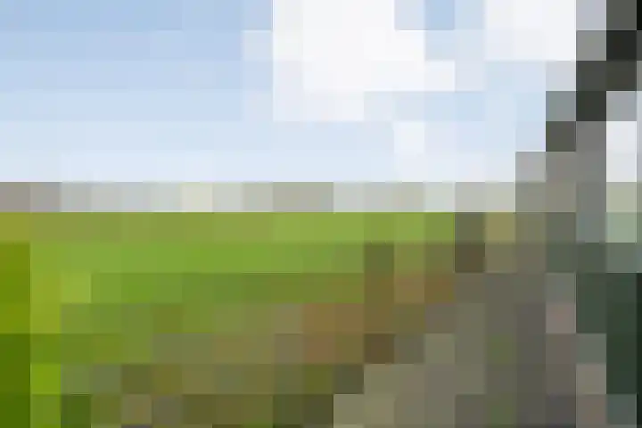 BH Spijkerweg 3 Punthorst thumbnail 43