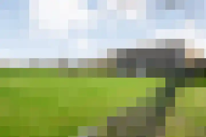 BH Spijkerweg 3 Punthorst thumbnail 44