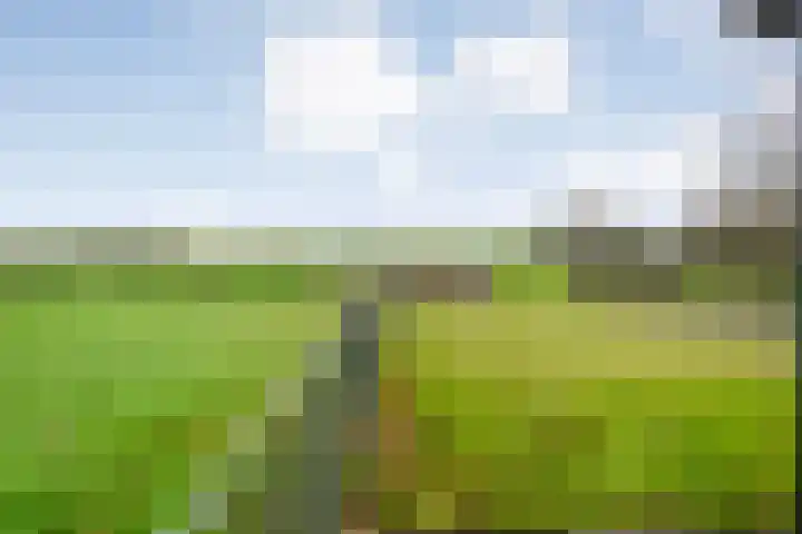 BH Spijkerweg 3 Punthorst thumbnail 45