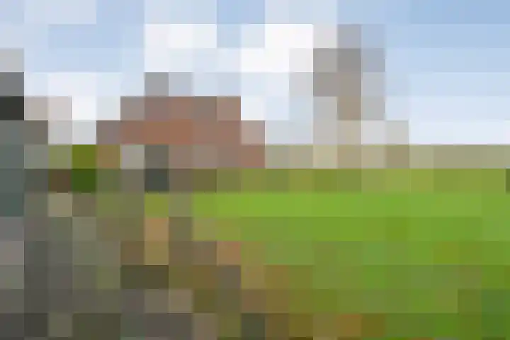 BH Spijkerweg 3 Punthorst thumbnail 46