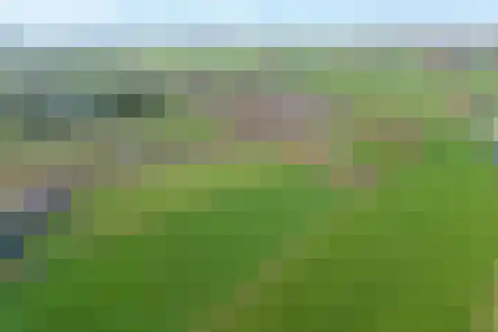 BH Spijkerweg 3 Punthorst thumbnail 48