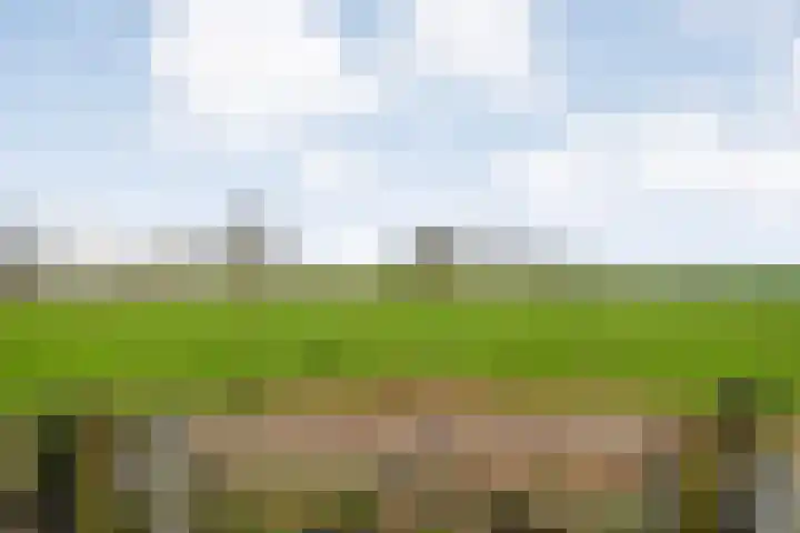 BH Spijkerweg 3 Punthorst thumbnail 49