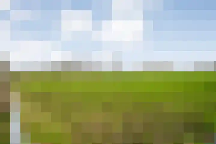 BH Spijkerweg 3 Punthorst thumbnail 50