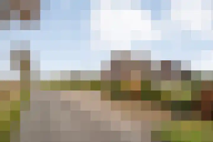 BH Spijkerweg 3 Punthorst thumbnail 51
