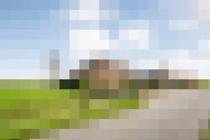 BH Spijkerweg 3 Punthorst thumbnail 52