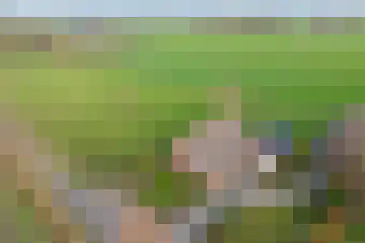 BH Spijkerweg 3 Punthorst thumbnail 53