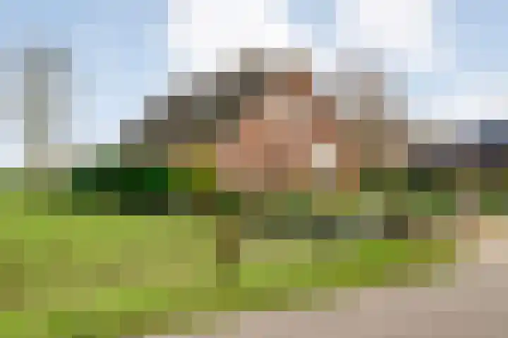BH Spijkerweg 3 Punthorst thumbnail 54