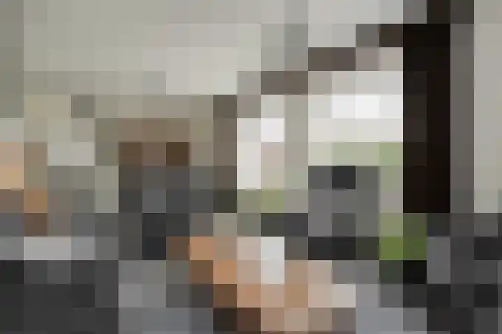 BH Spijkerweg 3 Punthorst thumbnail 8
