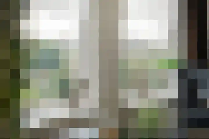 BH Spijkerweg 3 Punthorst thumbnail 9
