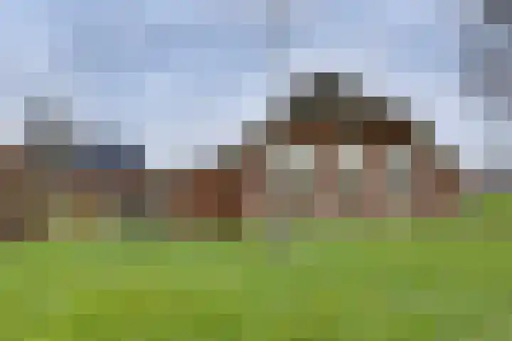 BH Spijkerweg 4 Punthorst thumbnail 10