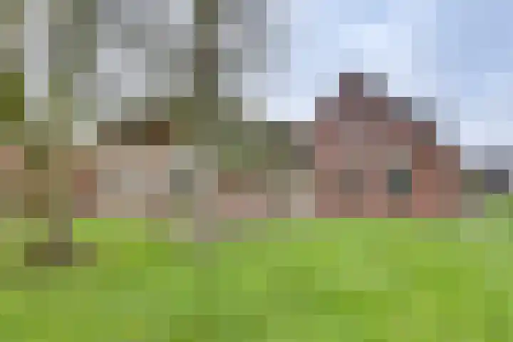 BH Spijkerweg 4 Punthorst thumbnail 11
