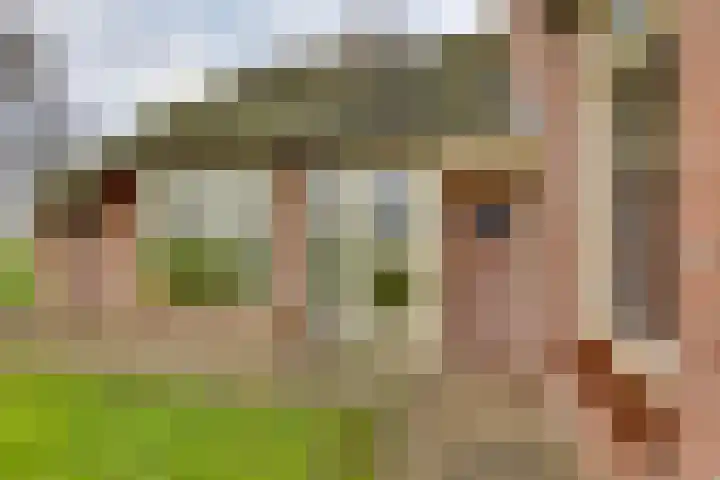 BH Spijkerweg 4 Punthorst thumbnail 13