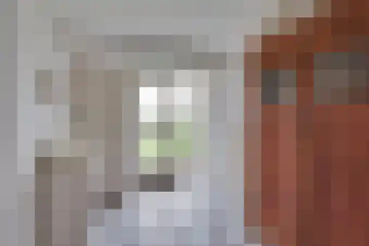 BH Spijkerweg 4 Punthorst thumbnail 17
