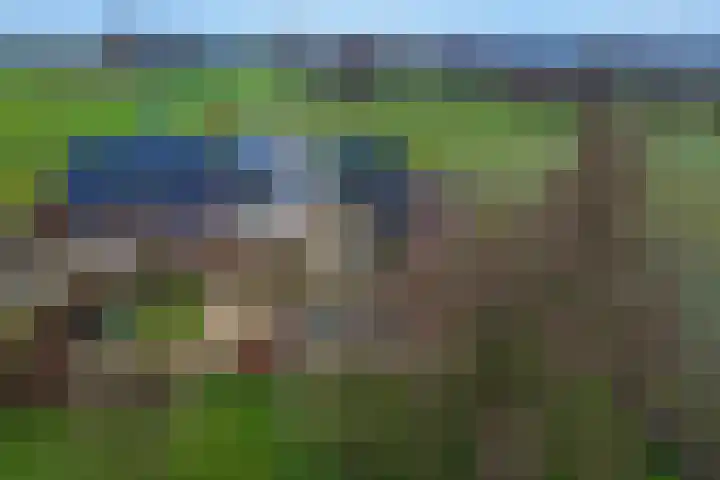 BH Spijkerweg 4 Punthorst thumbnail 5