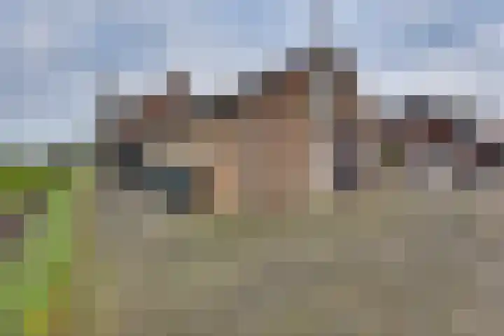 BH Spijkerweg 4 Punthorst thumbnail 60