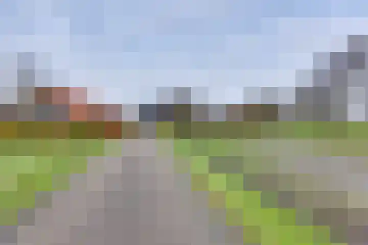 BH Spijkerweg 4 Punthorst thumbnail 69