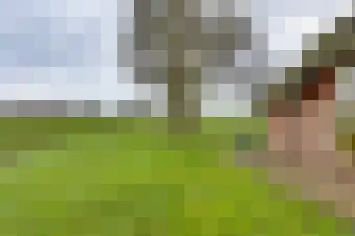 BH Spijkerweg 4 Punthorst thumbnail 72