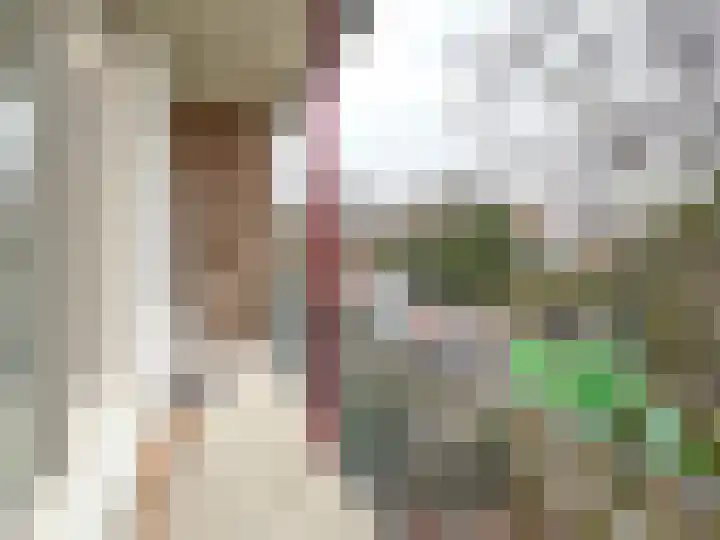 Biallosterskilaan 32 BOV Santpoort-Noord thumbnail 27