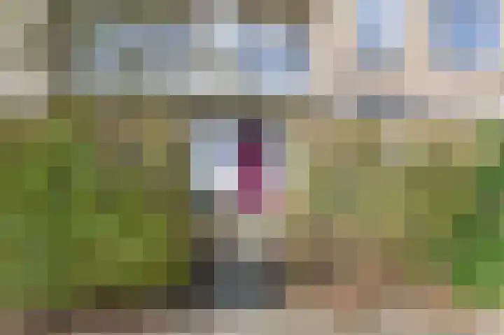 Biallosterskilaan 32 BOV Santpoort-Noord thumbnail 29