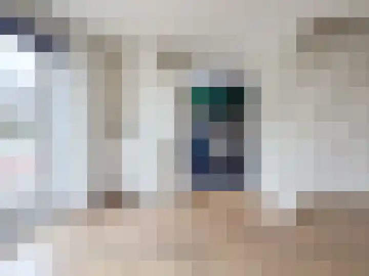 Biallosterskilaan 32 BOV Santpoort-Noord thumbnail 6