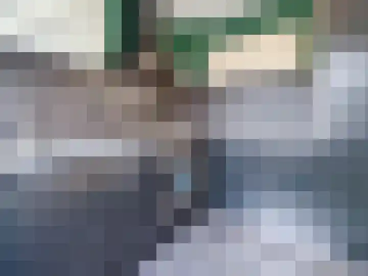 Biallosterskilaan 32 BOV Santpoort-Noord thumbnail 8
