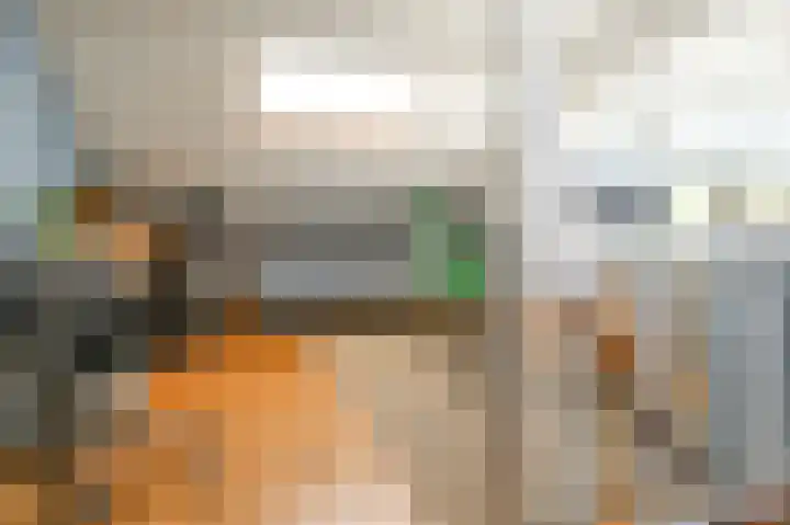 Biallosterskilaan 33 Santpoort-Noord thumbnail 15