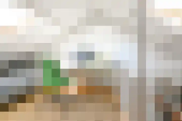 Biallosterskilaan 33 Santpoort-Noord thumbnail 17