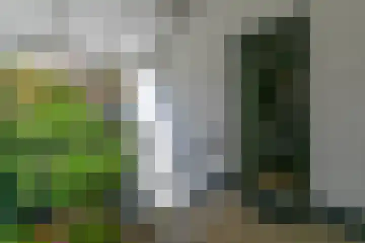 Biallosterskilaan 33 Santpoort-Noord thumbnail 27