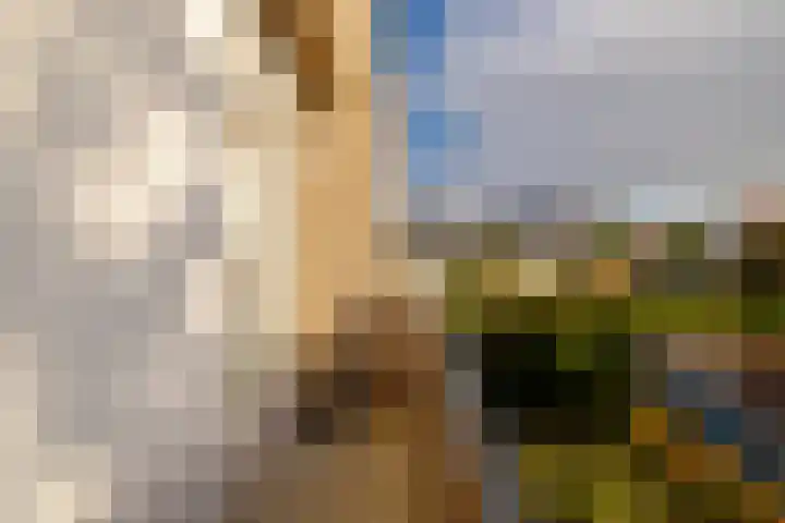 Biallosterskilaan 34 Santpoort-Noord thumbnail 11