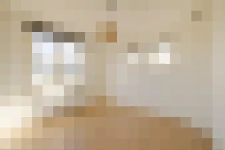 Biallosterskilaan 34 Santpoort-Noord thumbnail 15