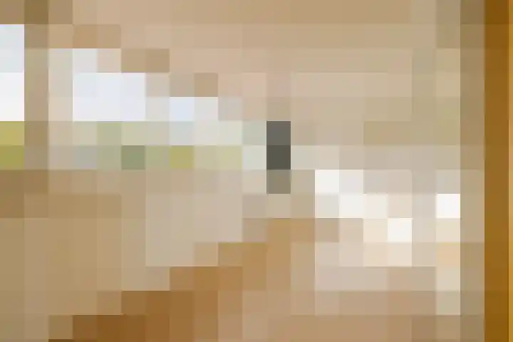 Biallosterskilaan 34 Santpoort-Noord thumbnail 18