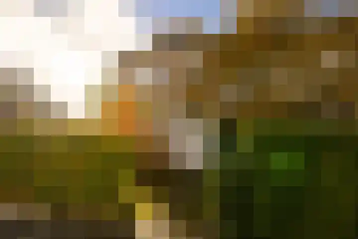 Biallosterskilaan 34 Santpoort-Noord thumbnail 27