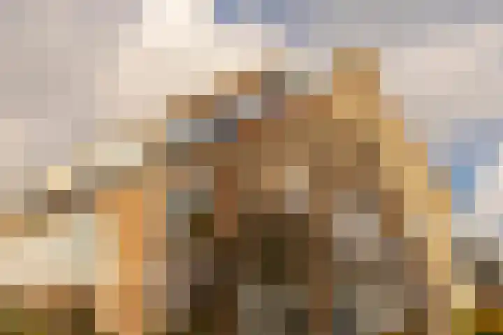 Biallosterskilaan 34 Santpoort-Noord thumbnail 28