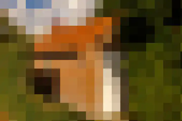 Biallosterskilaan 34 Santpoort-Noord thumbnail 29