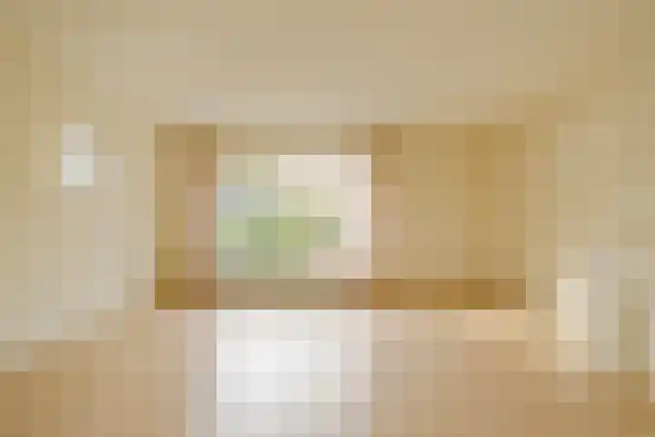 Biallosterskilaan 34 Santpoort-Noord thumbnail 5
