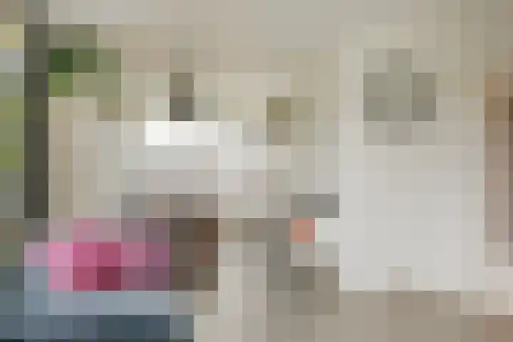 Biallosterskilaan 9 Santpoort-Noord thumbnail 12