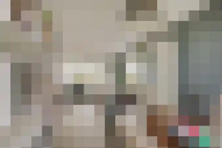 Biallosterskilaan 9 Santpoort-Noord thumbnail 15