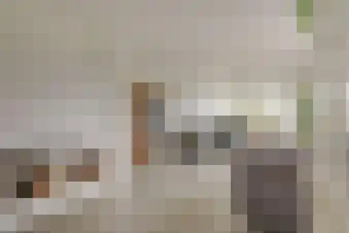 Biallosterskilaan 9 Santpoort-Noord thumbnail 19