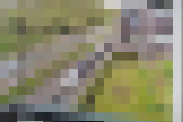 Biallosterskilaan 9 Santpoort-Noord thumbnail 26
