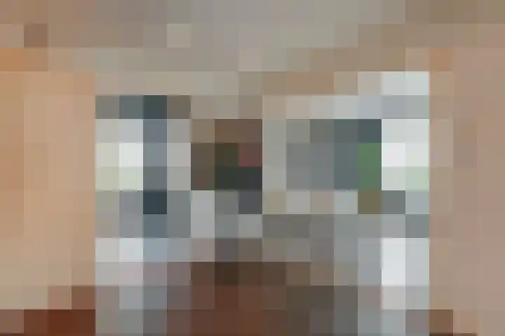 Biallosterskilaan 9 Santpoort-Noord thumbnail 27