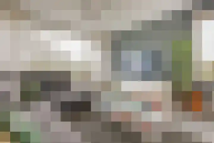 Biallosterskilaan 9 Santpoort-Noord thumbnail 7