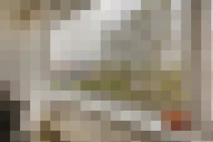 Biallosterskilaan 9 Santpoort-Noord thumbnail 8