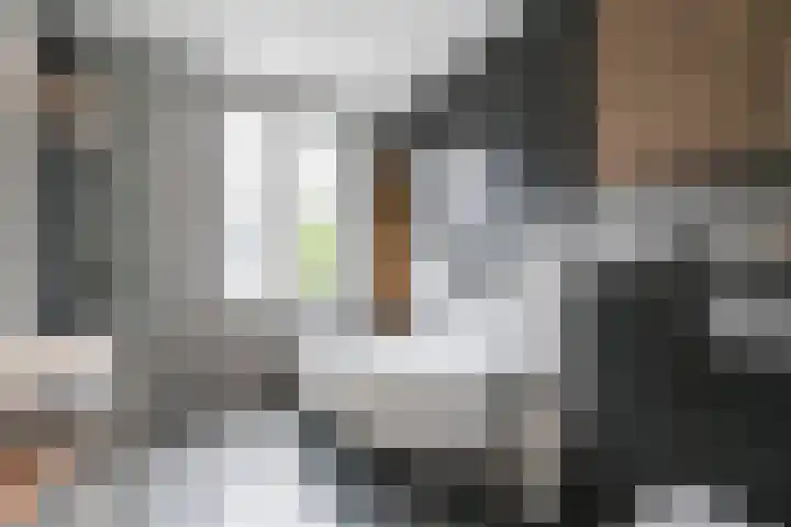 Biancaland 102 Den Haag thumbnail 37