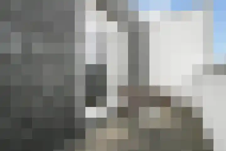 Biancaland 102 Den Haag thumbnail 41