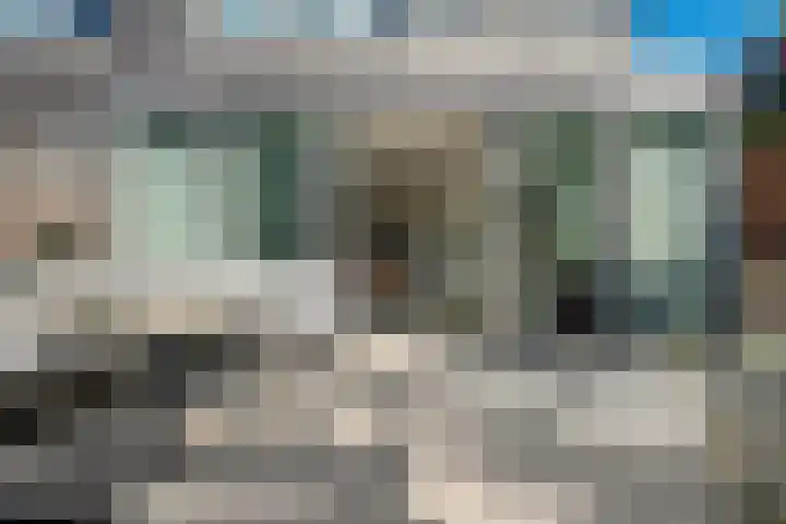 Biancaland 111 A Den Haag thumbnail 17