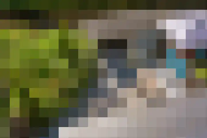 Biancaland 111 A Den Haag thumbnail 21