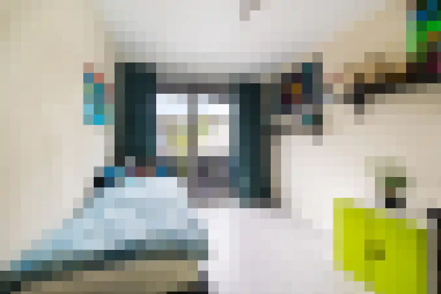 Biancaland 112 Den Haag thumbnail 18