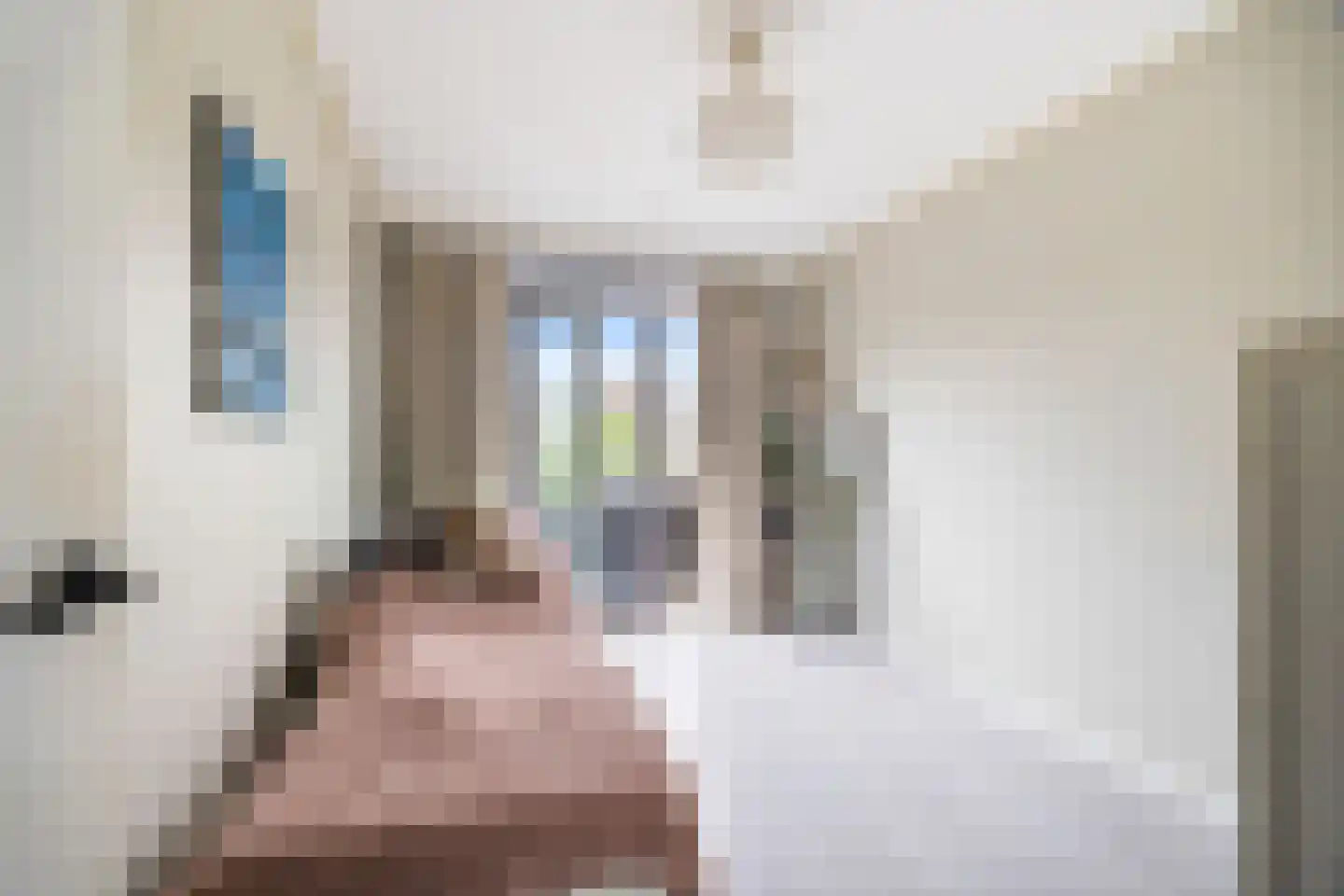 Biancaland 112 Den Haag thumbnail 22